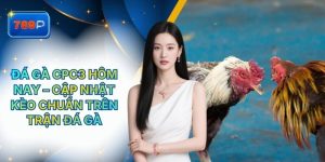 Đá Gà Cpc3 Hôm Nay – Cập Nhật Kèo Chuẩn Trên Trận Đá Gà 789P