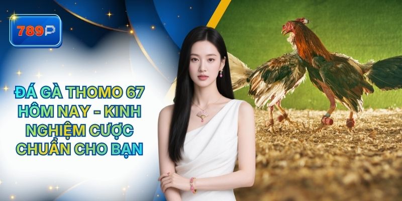 Đá Gà Thomo 67 Hôm Nay - Kinh Nghiệm Cược Chuẩn Tại 789P
