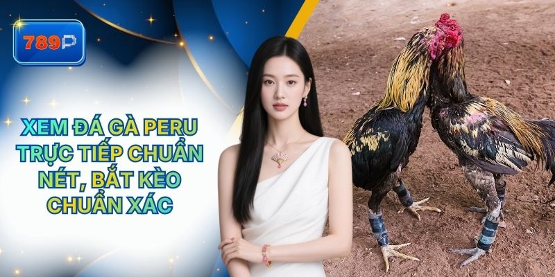 Xem Đá Gà Peru Trực Tiếp 789P Chuẩn Nét, Bắt Kèo Chuẩn Xác